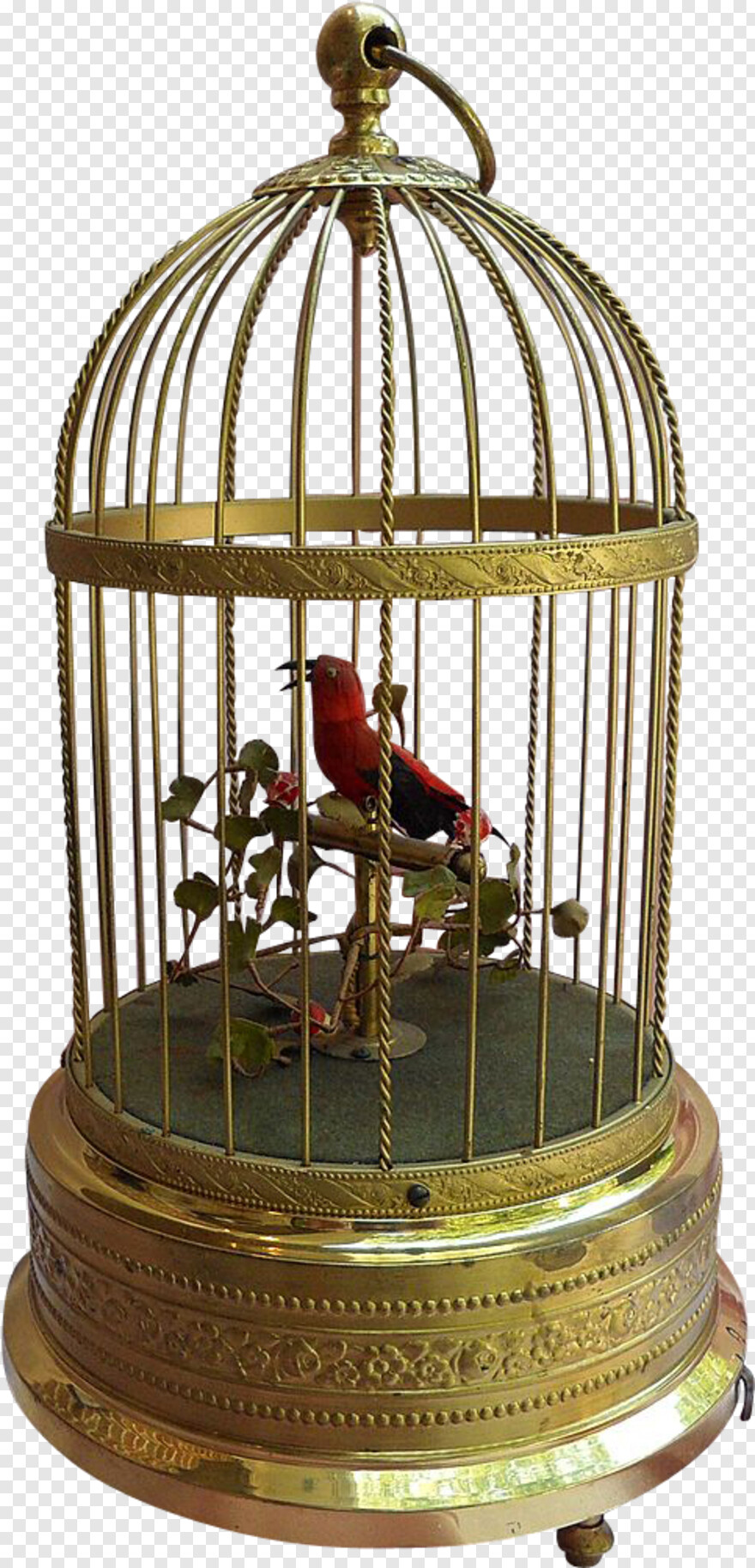 bird-cage # 359988