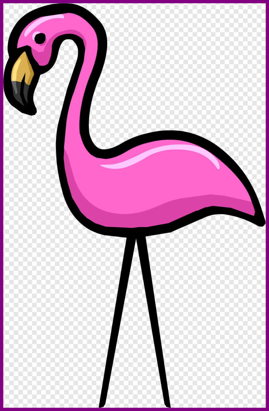 flamingo # 828773