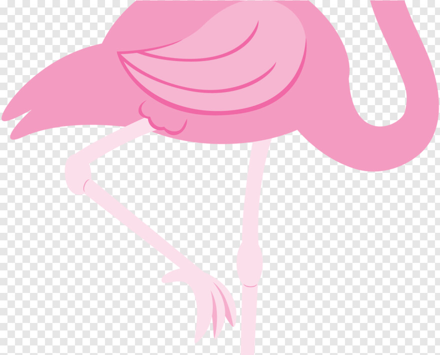 flamingo # 470888