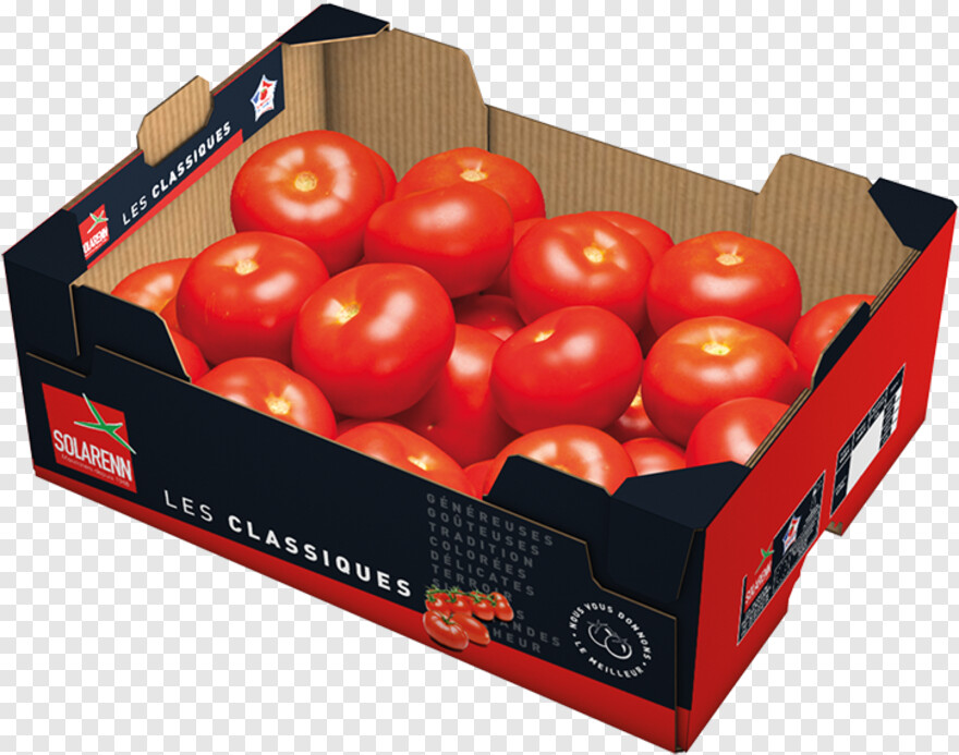 tomato # 650418