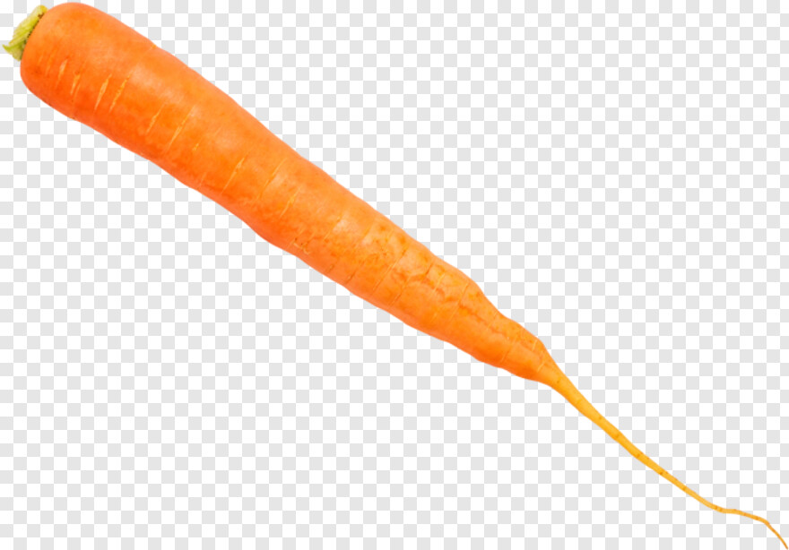 carrot # 1061214