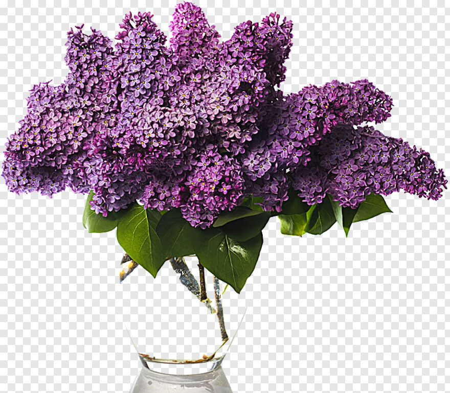 flower-vase # 323654