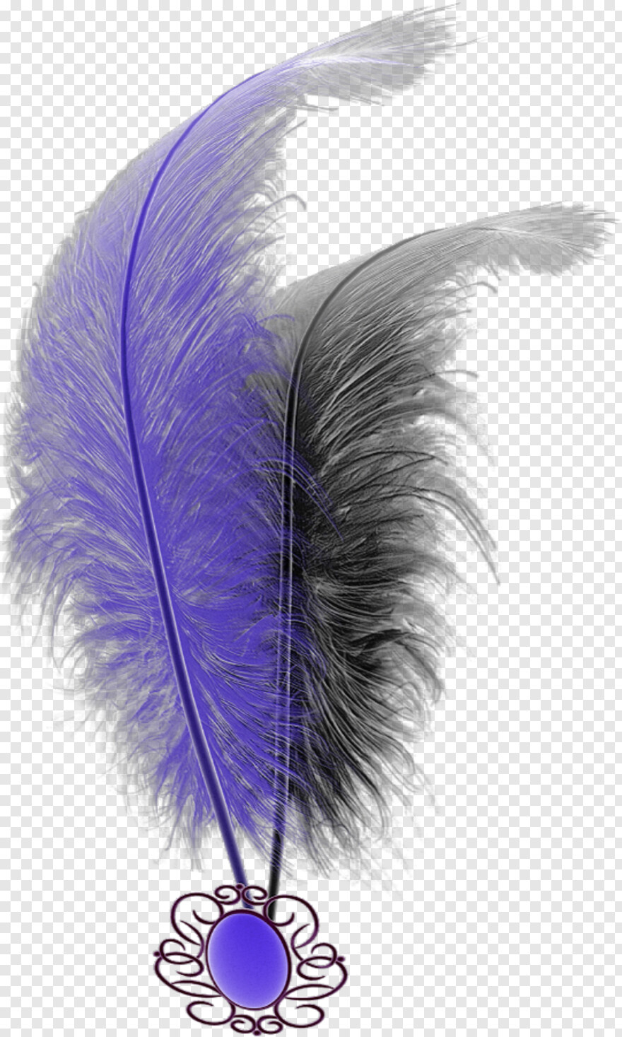 feather-silhouette # 842621