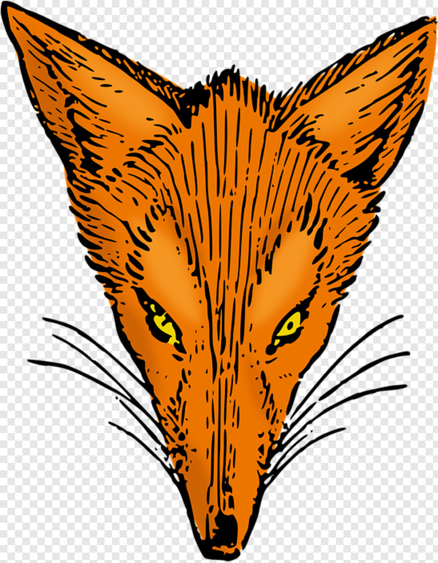 fennec-fox # 814633