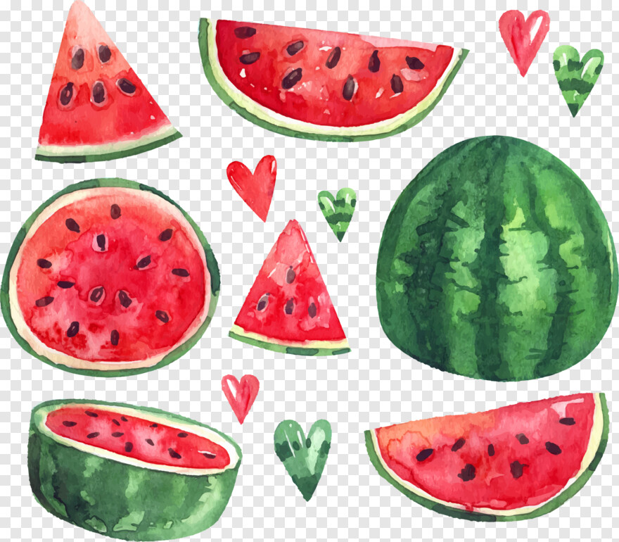 watermelon # 752938