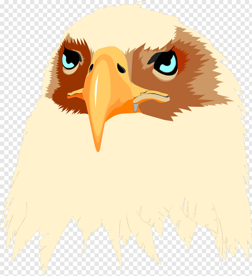 eagle-head # 877974