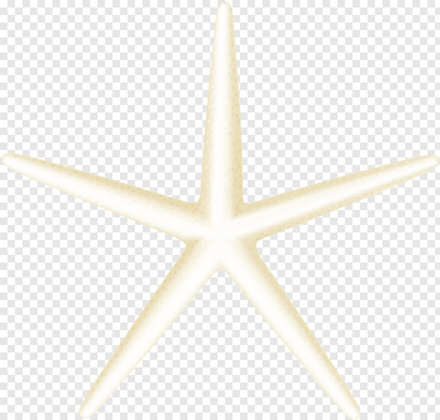 starfish # 612011