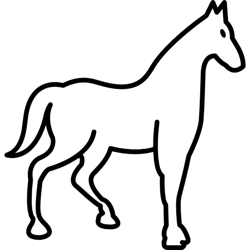 stallion # 195848