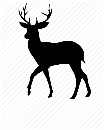 reindeer # 243895