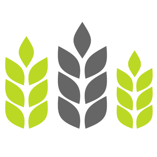 Agriculture, food, grain, product, products, result, wheat icon 