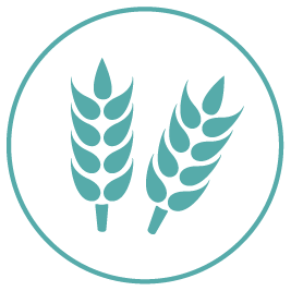 Agricultural, agriculture, farm, insurance, plant, seed, tree icon 