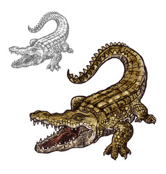 Alligator icons | Noun Project