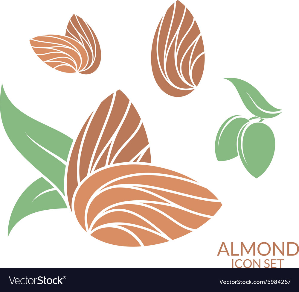 Almond - Free food icons