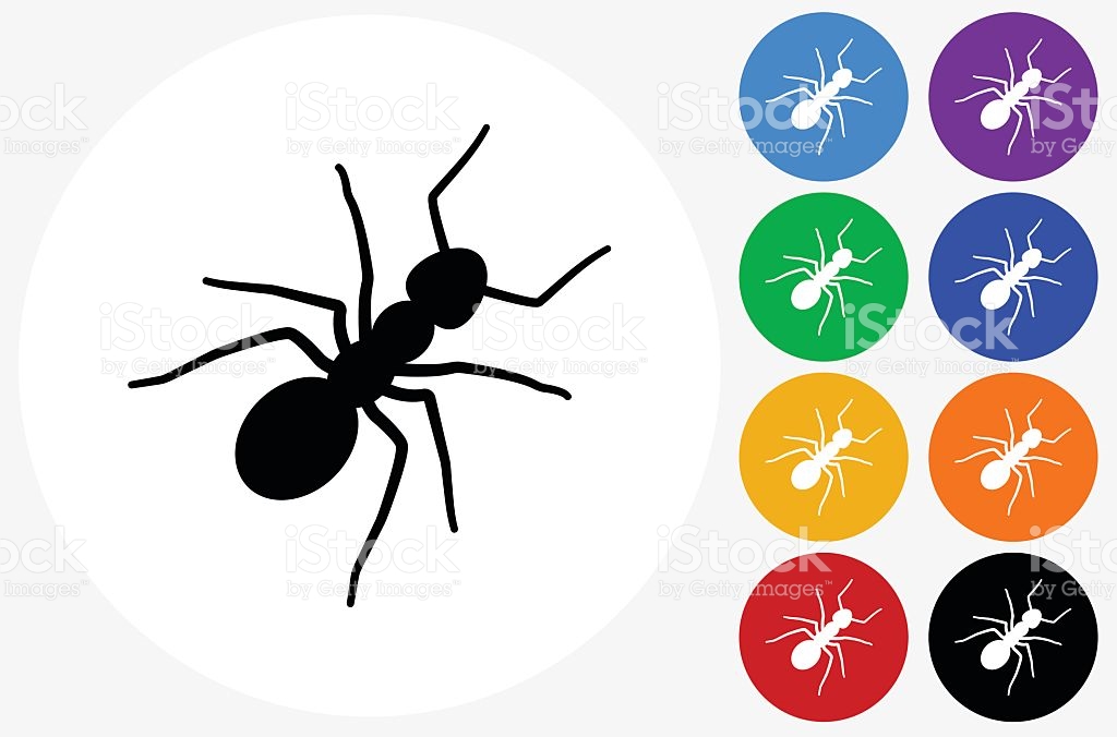 Two ants icon vector image stock vector. Image of background 