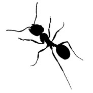 Icon ant. stock vector. Illustration of cartoon, logo - 64824602