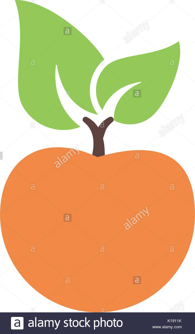 cropped-apricot-site-icon.png |