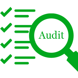 Audit, auditing, check up, diagnostic, examine, scope, survey 