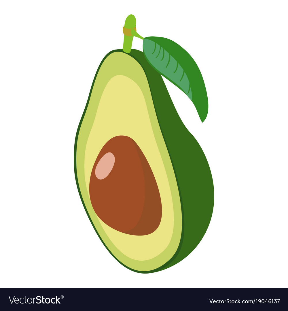 Avocado, Fruit icon