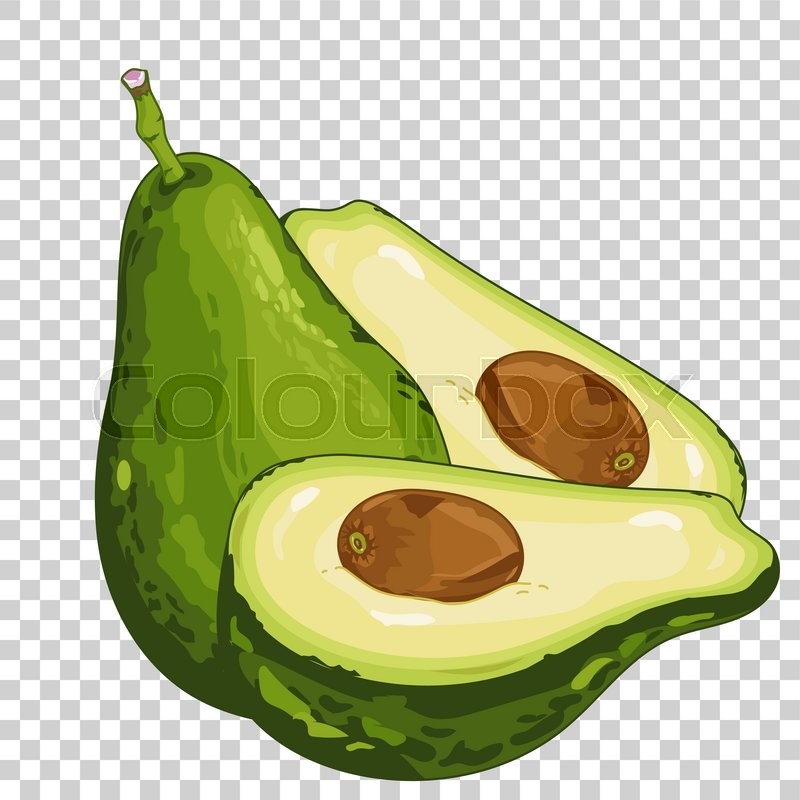 Avocado Svg Png Icon Free Download (#483440) 