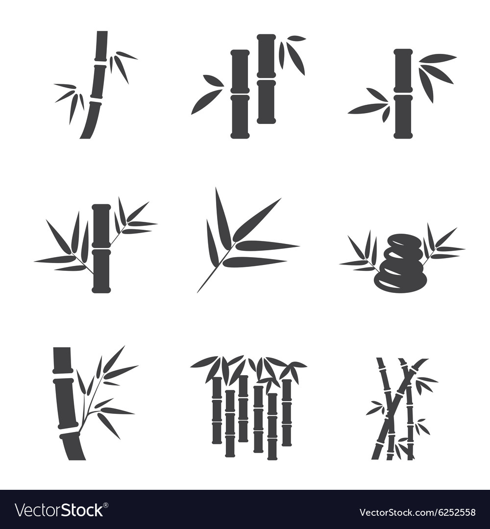 Bamboo, culture, eco, ecology, environment, leaves, plant icon 
