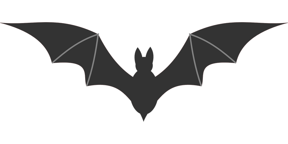 flying bat icon  Free Icons Download