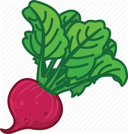 cabbage # 82639