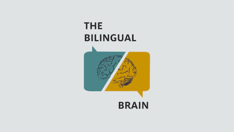 Bilingual Icon  
