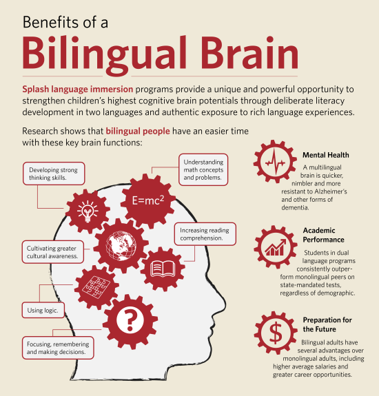 Bilingual, interpreter, language, mixed race, translate 