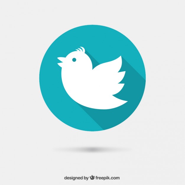 Illustration of black bird icon isolated on a white vector 