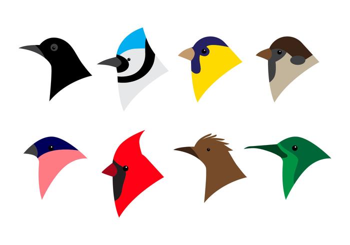 Set of winter birds flat design birds icon Vector Image