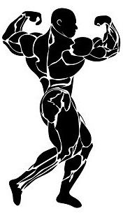 Bodybuilder icon black sign Royalty Free Vector Image