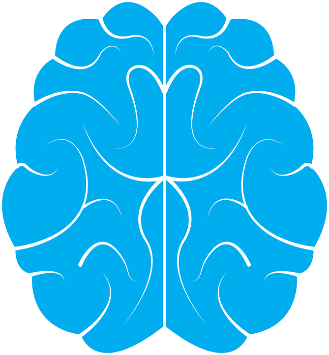 Human Brain Symbol Icon Vector Illustration Stock Vector 581926393 