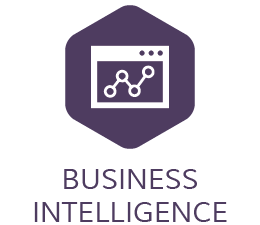 Business Intelligence and Data Analytics Services