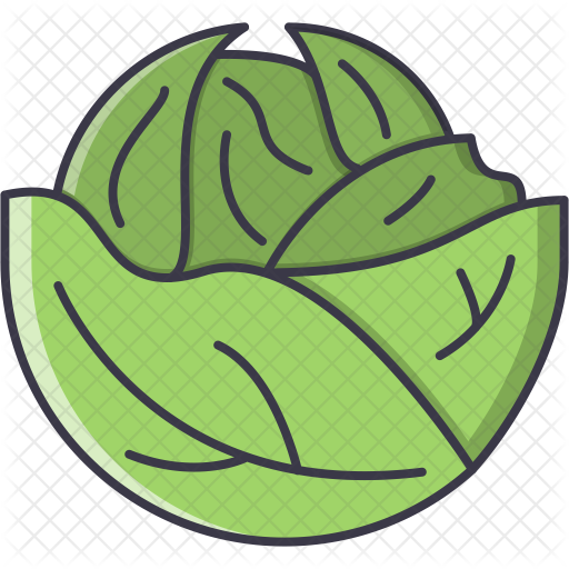 Cabbage icons | Noun Project