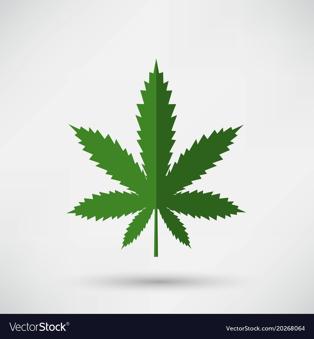 Cannabis leaf icon. flat style marijuana logo. vector clip art 