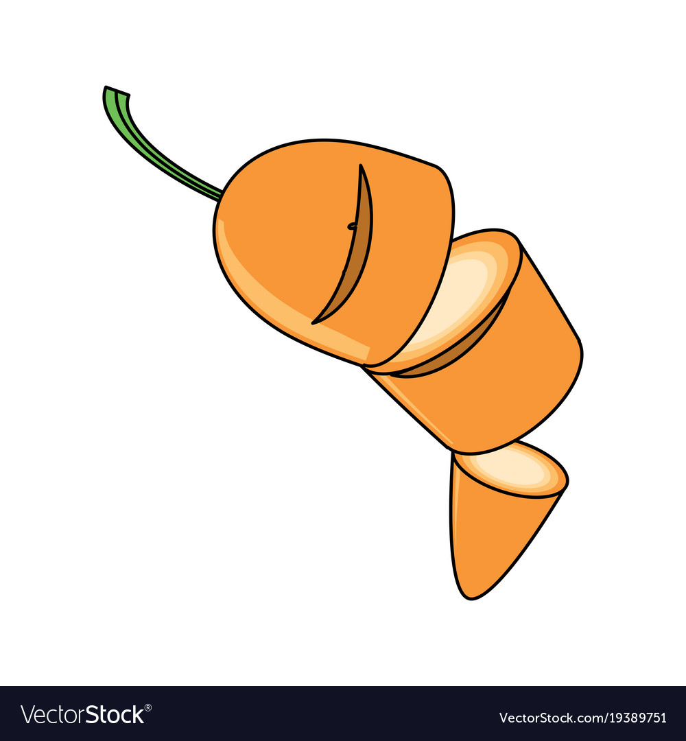 Carrot icon Royalty Free Vector Image - VectorStock