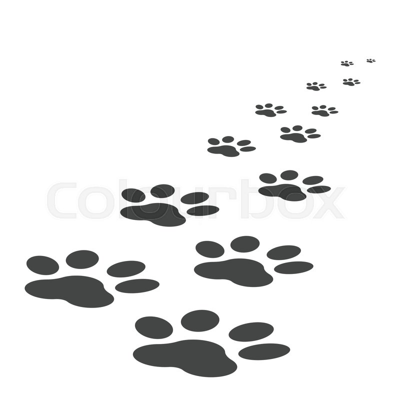 Cat paw print flat icon symbol Royalty Free Vector Image