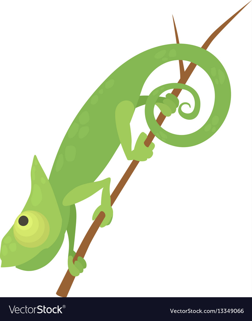 Chameleon icon  Stock Vector  gardenproject #34250421