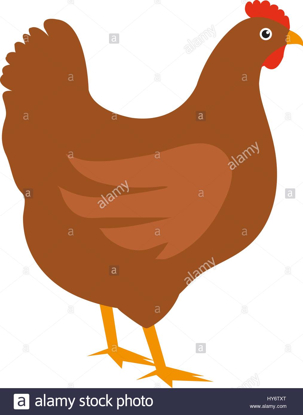 Chicken Icon - free download, PNG and vector