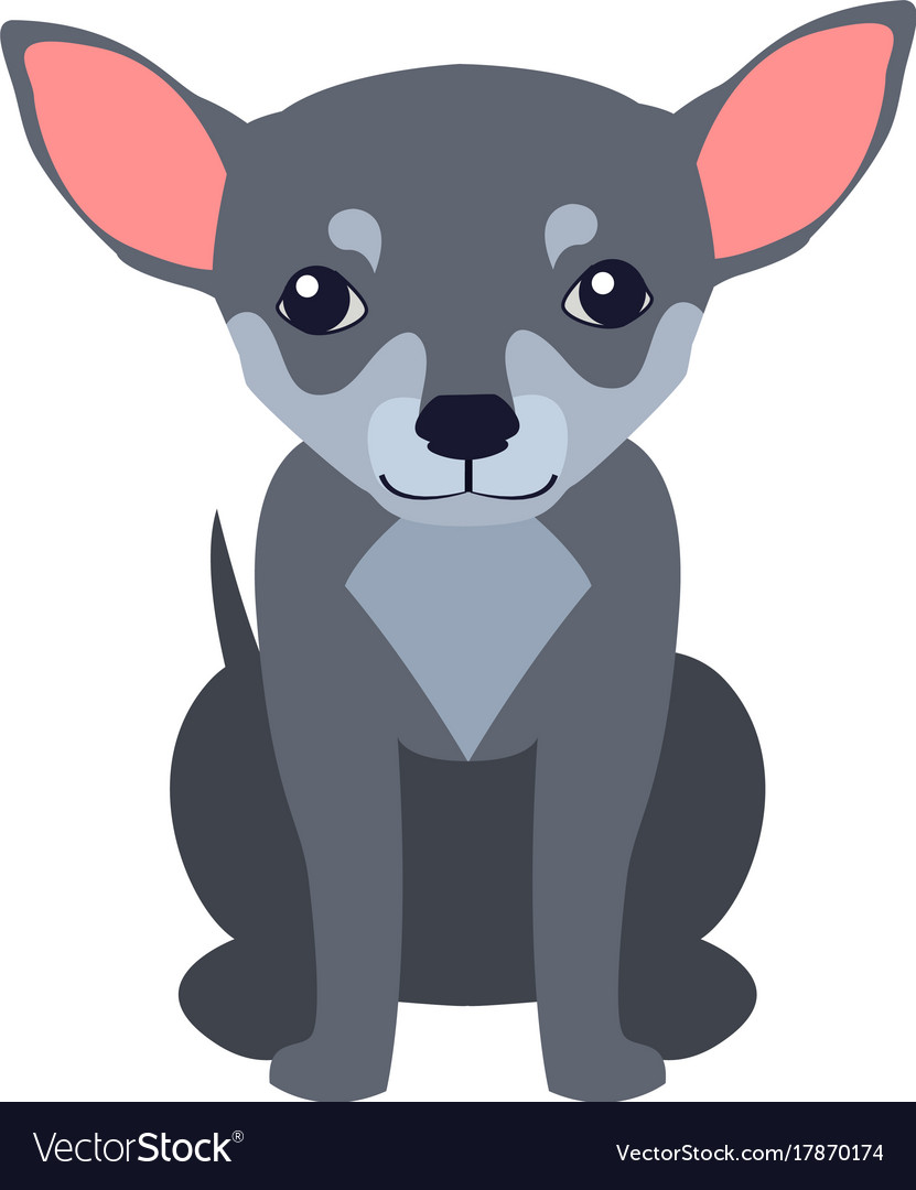 Chihuahua Icon | Flat Animal Iconset | Martin Berube