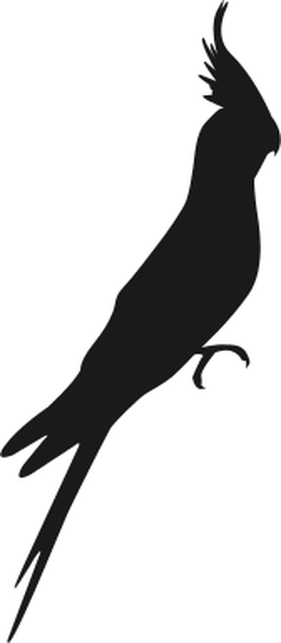 Cockatiel bird icon