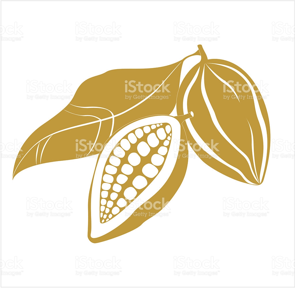 Cocoa Beans Blue Line Icon On Stock Vector 570428629 - 