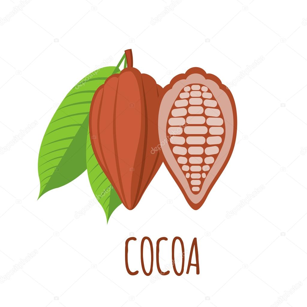 Cocoa Fruit Icon In Monochrome Style Isolated On White Background 