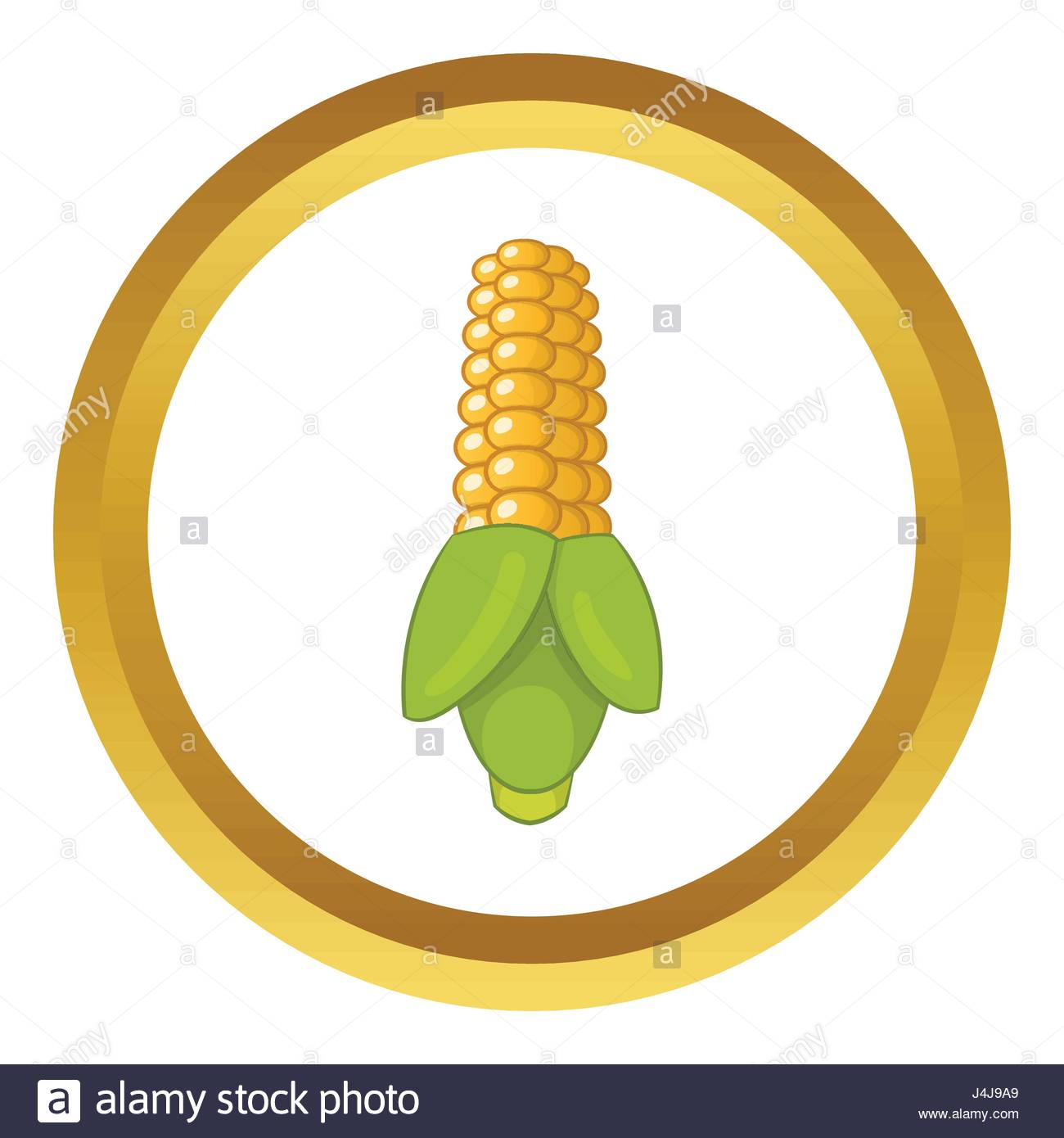 Grain of corn, kernel corn, corn seed grain vector clip art 