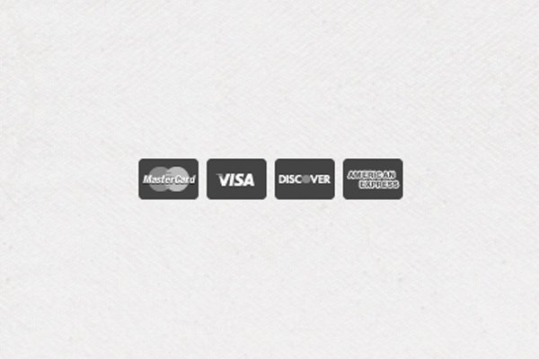 Credit card icon white Royalty Free Vector Image