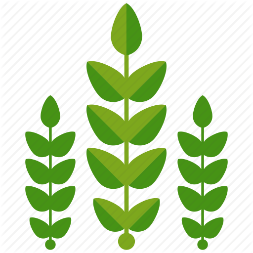 Crop rotate icon vector | Download free