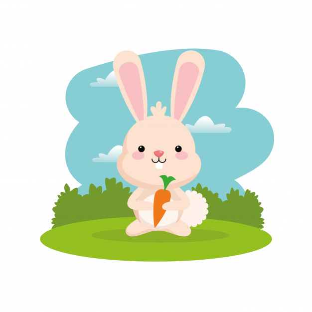 rabbit # 125763