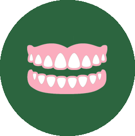 Denture Icon - free download, PNG and vector