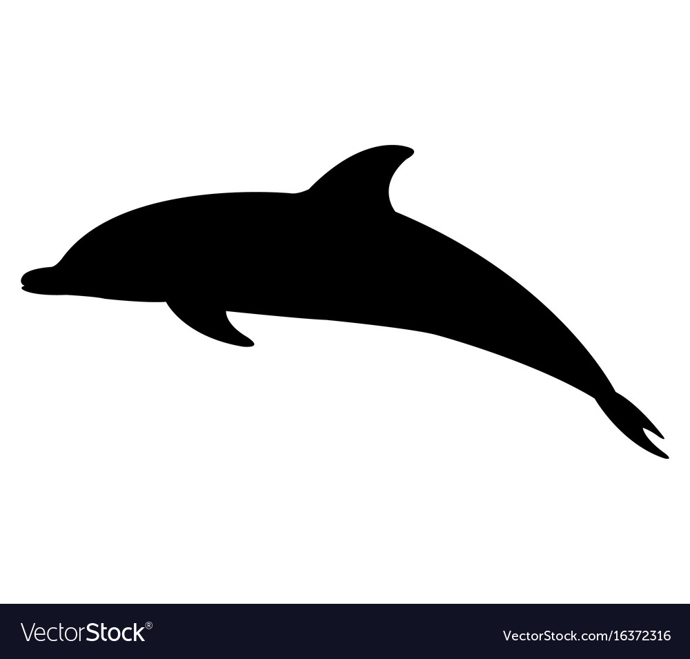 Dolphin, animal Icon Free of iOS7 Minimal Icons