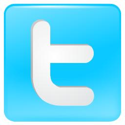 Twitter Icon | Pretty Social Media Iconset | Custom Icon Design